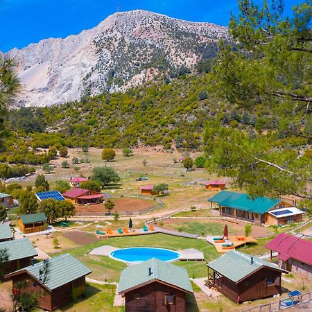 Hotel Babakamp Eco Ranch & Retreat Ölüdeniz Esterno foto