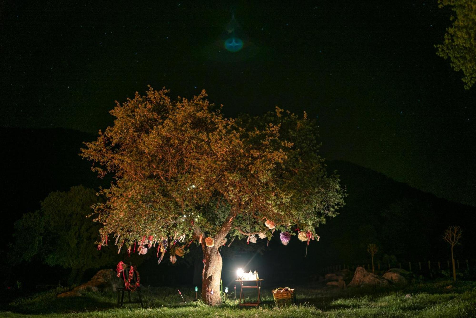 Hotel Babakamp Eco Ranch & Retreat Ölüdeniz Esterno foto