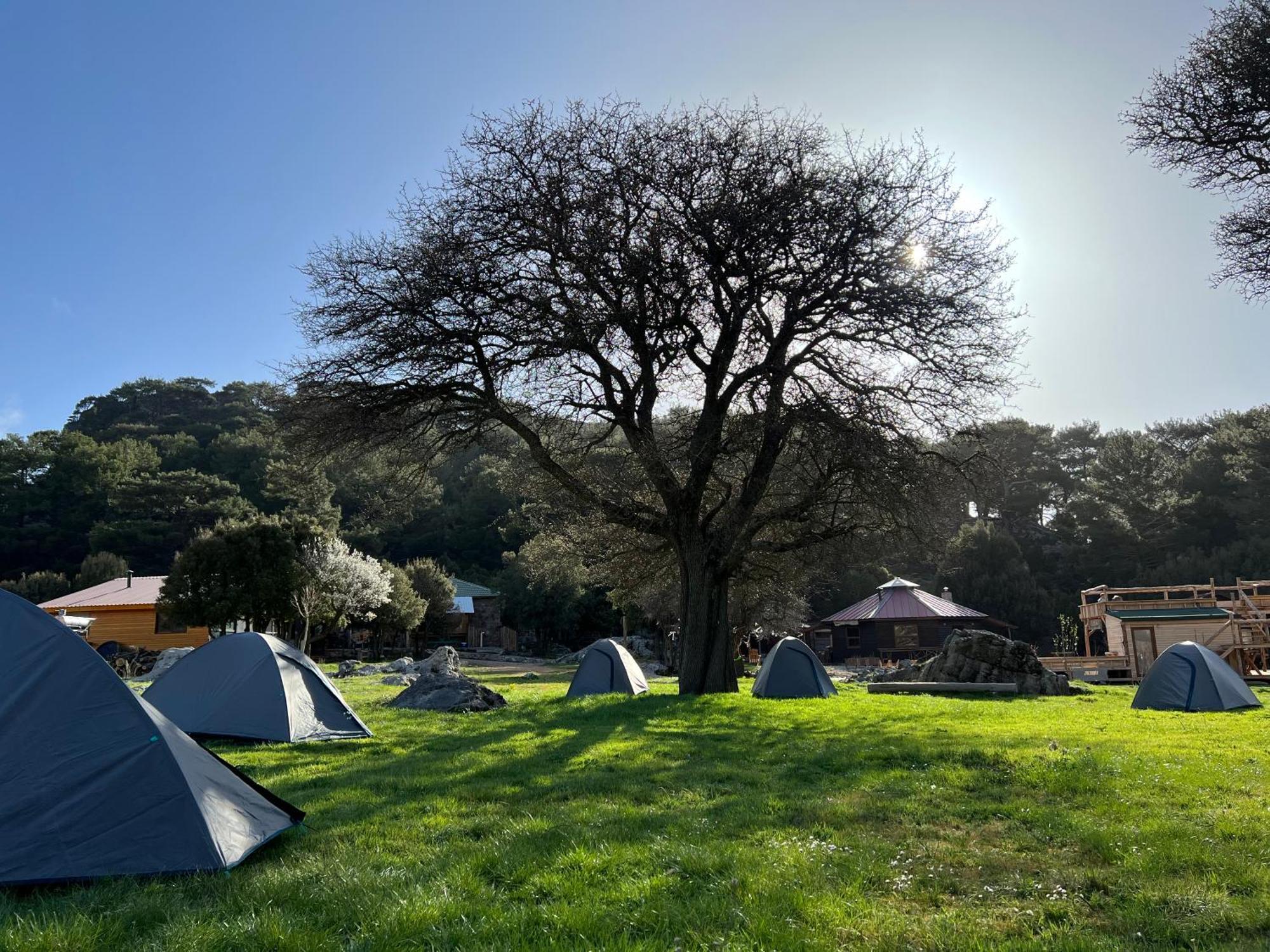 Hotel Babakamp Eco Ranch & Retreat Ölüdeniz Esterno foto